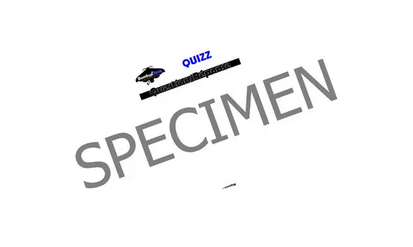 8 Sheets Quiz Frage / Antwort